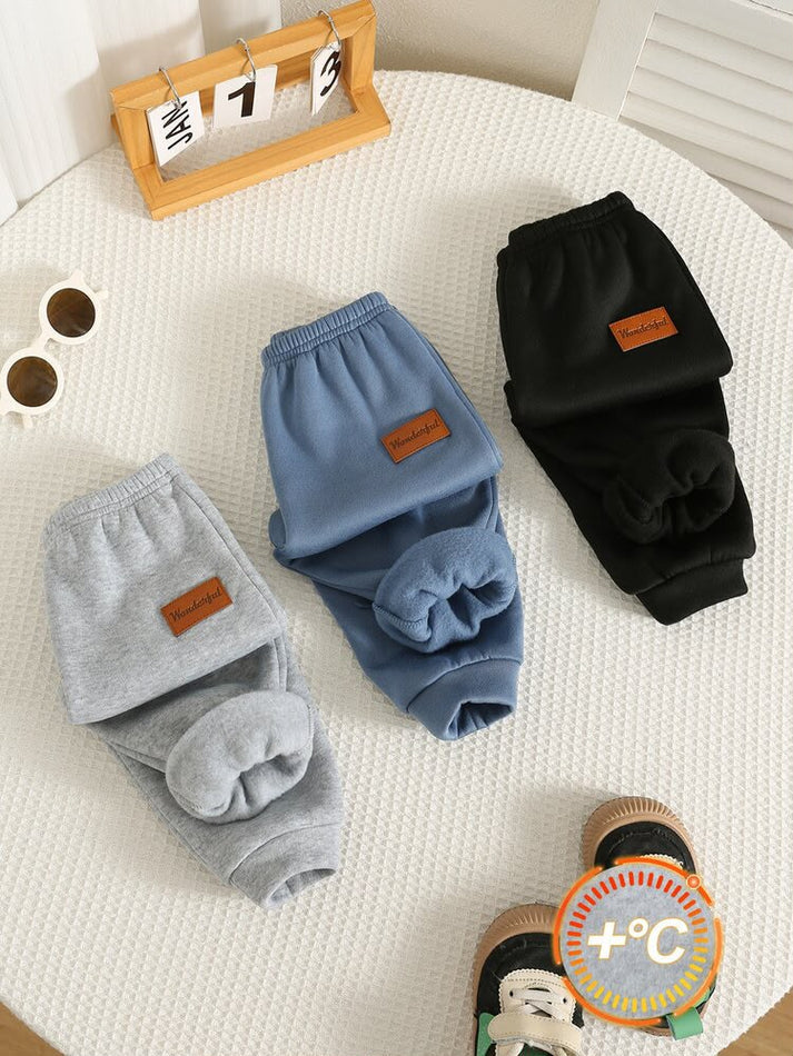 Kids Winter Fleece Trousers for Boys-kids clozet
2. Doosri picture (B